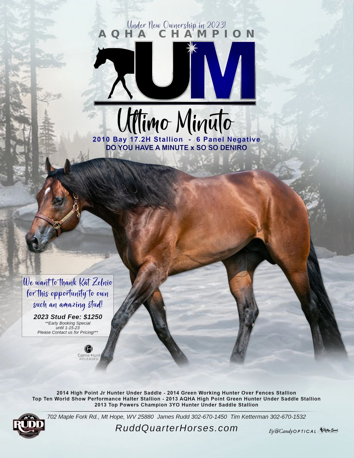 Ultimo Minuto Rudd Quarter Horses